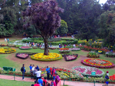 Ooty